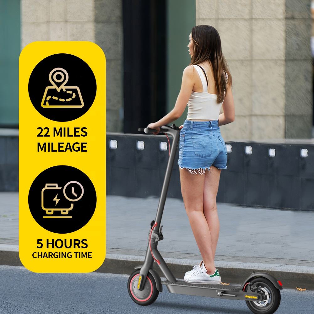 Electric Scooter Electric 36V Motor Foldable